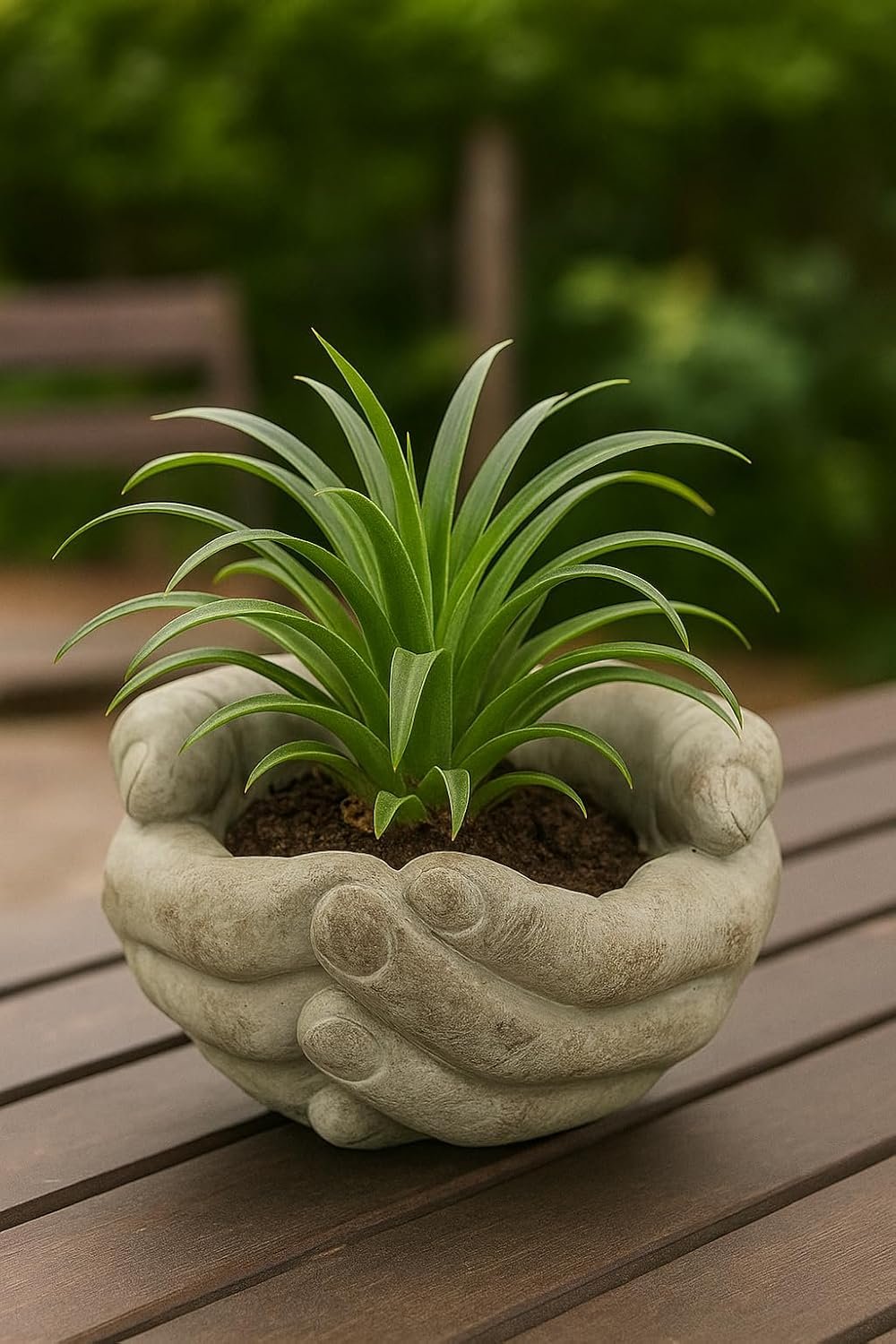 Collection Cupped Hands Sculpture Cement Wall Planter Pot